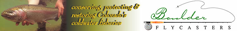 BFC logo