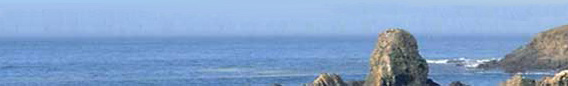 oceanbreeze-b1.jpg