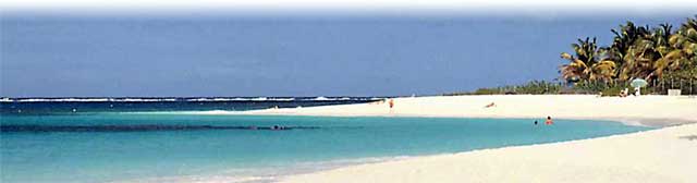 paradise-beach.jpg