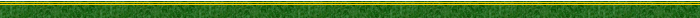 football1-b.gif