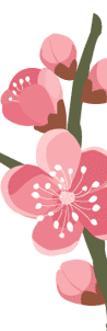 apple-blossom-bl1.gif