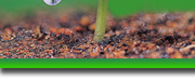 grow-top6.jpg