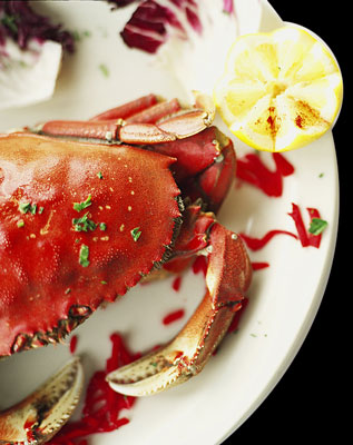 lg_crab.jpg