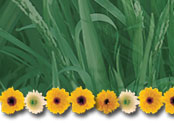 spring02-top1.jpg