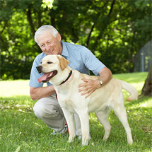 dog_oldguy.jpg