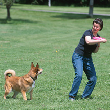 dogfrisbee.jpg