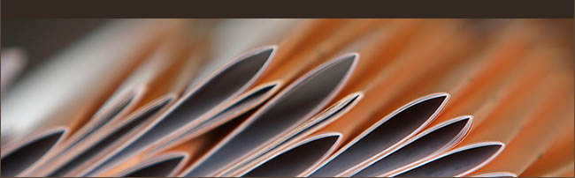 publishing_3_header.jpg