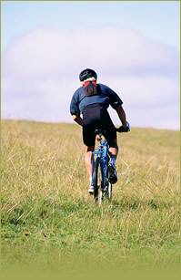 sports_4_header_1.jpg