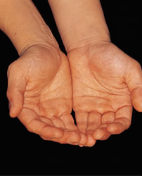 non_profit_5_header.jpg