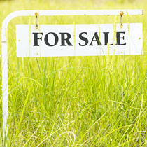 For Sale